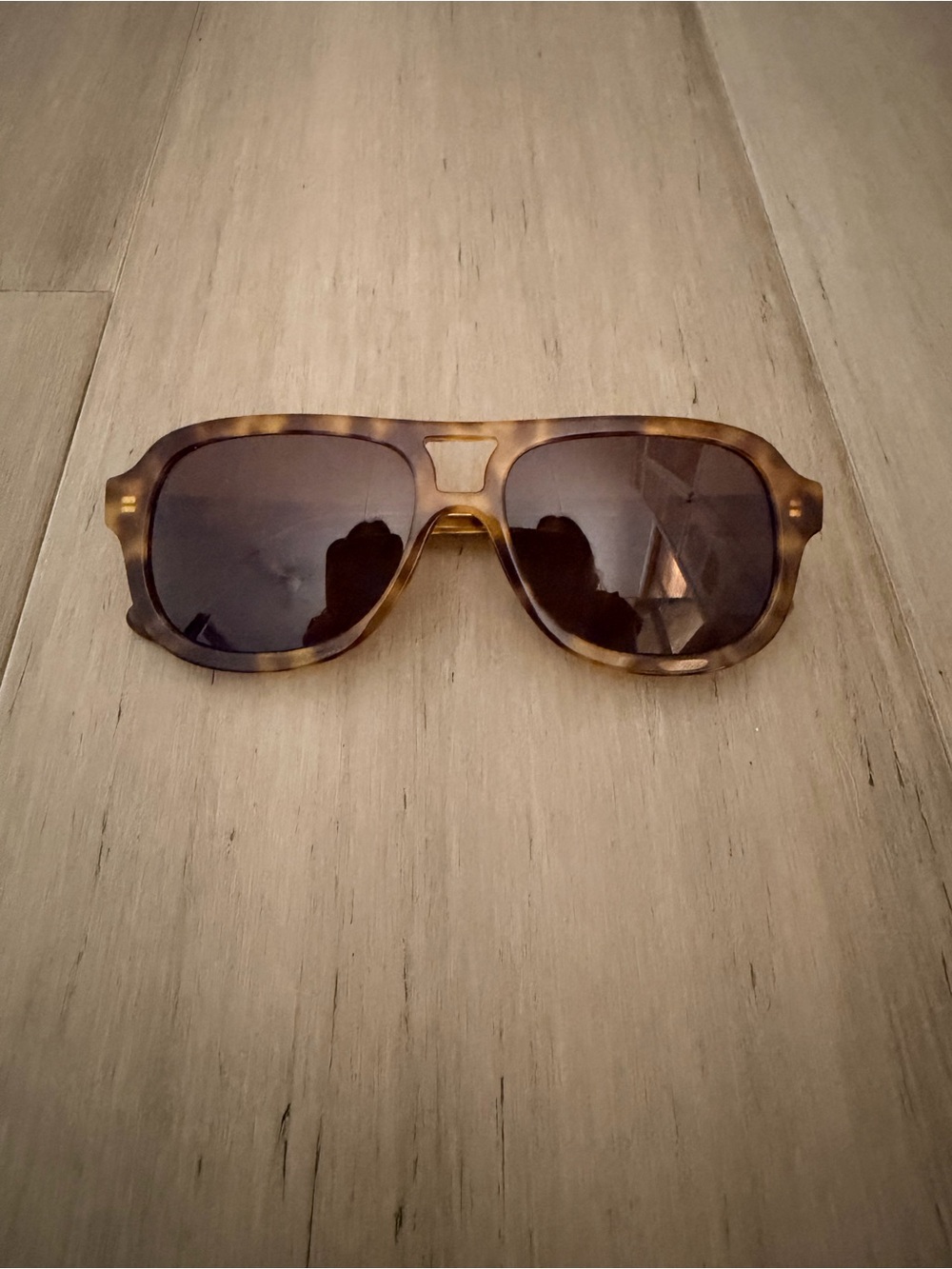 Madewell Logaan Aviator Sunglasses in Burnt Cocoa